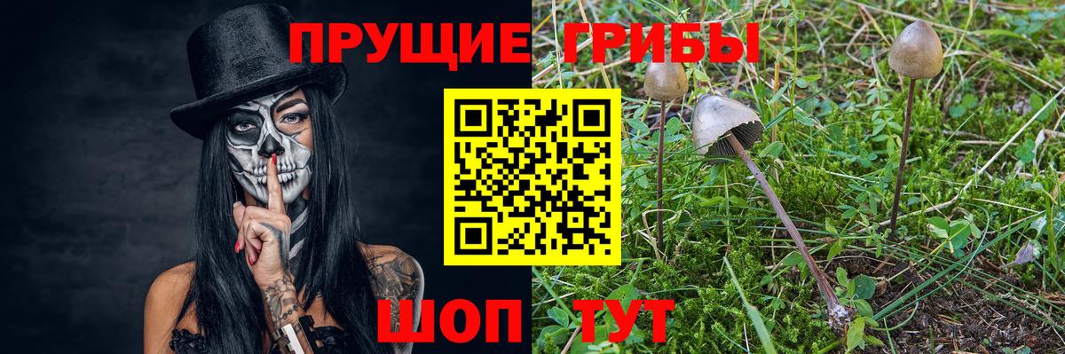 Галлюциногенные грибы Cubensis  Псилоцибиновые грибы ЛСД  Гулькевичи  Вход с VPN 